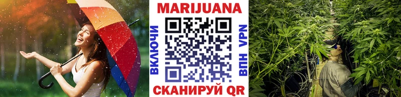 Шишки марихуана планчик  где продают   Волосово 